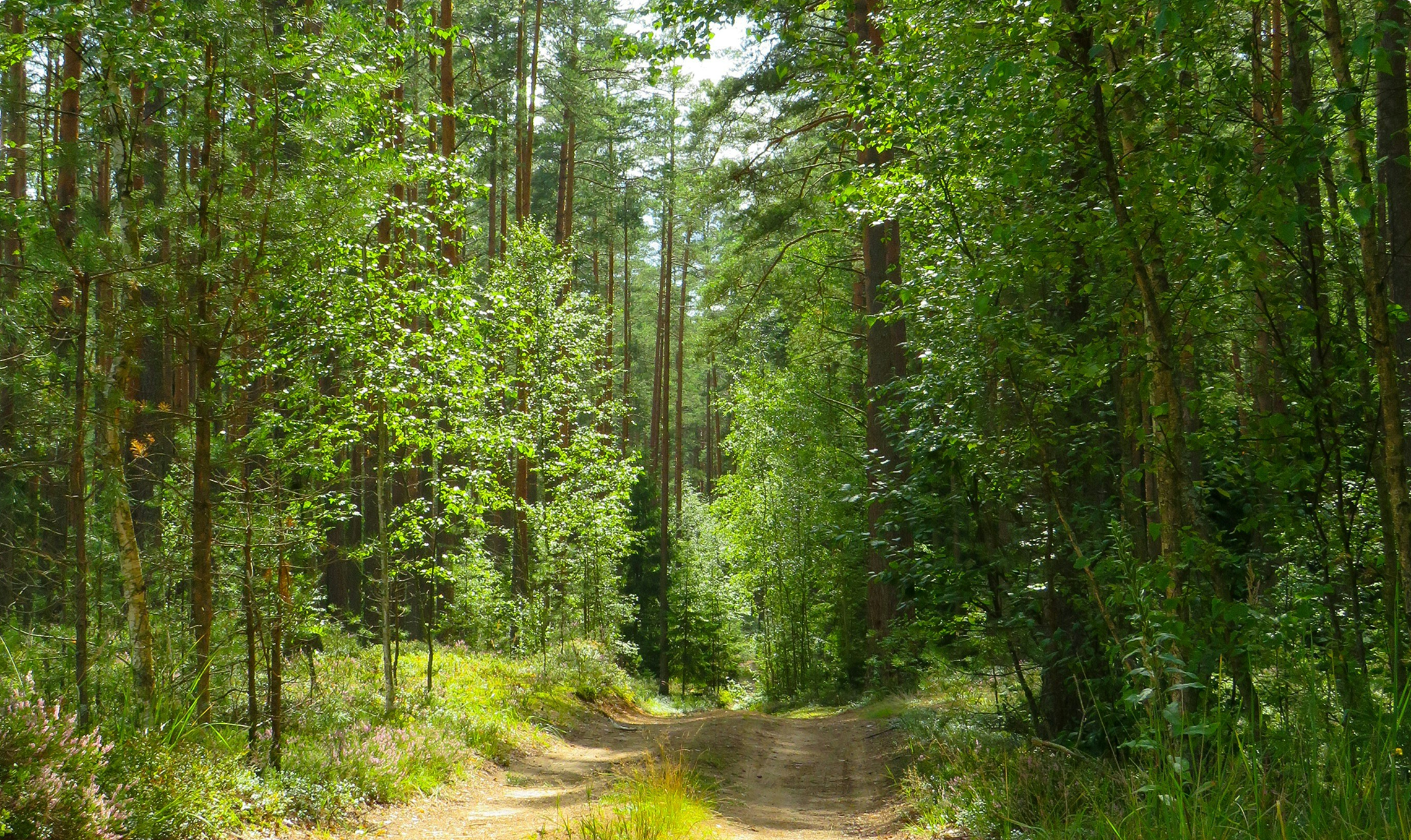 Assess your nature-based self-care